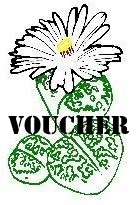 Vouchers